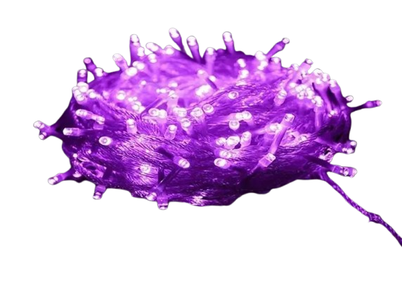 LichterGlanz – Festliche LED-Außenbeleuchtung Warmweiß Garten