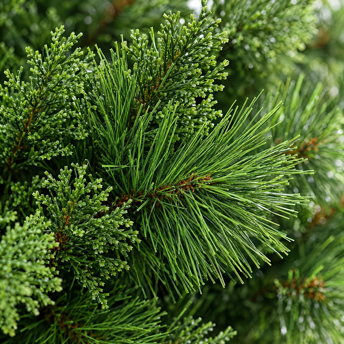 Künstlicher Weihnachtsbaum 120 bis 180 cm, dichte Kiefer mit Metallständer
