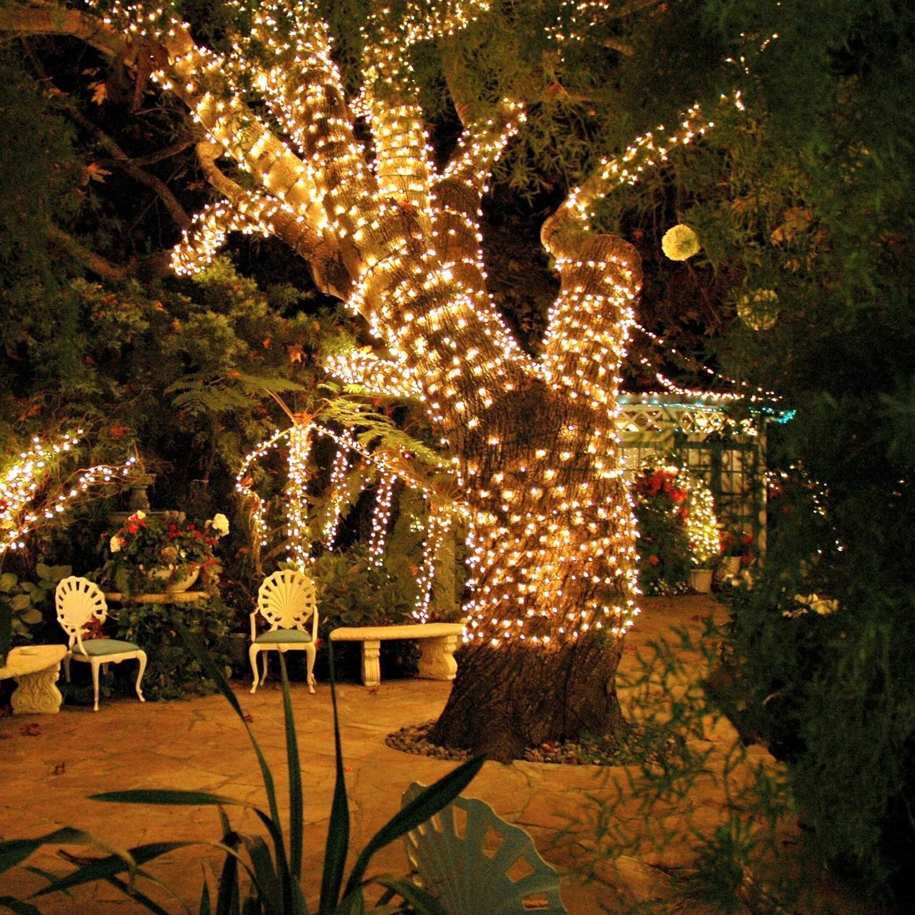 LumiTwinkle – Solar-Lichterkette, LED, Warmweiß, Garten & Terrasse