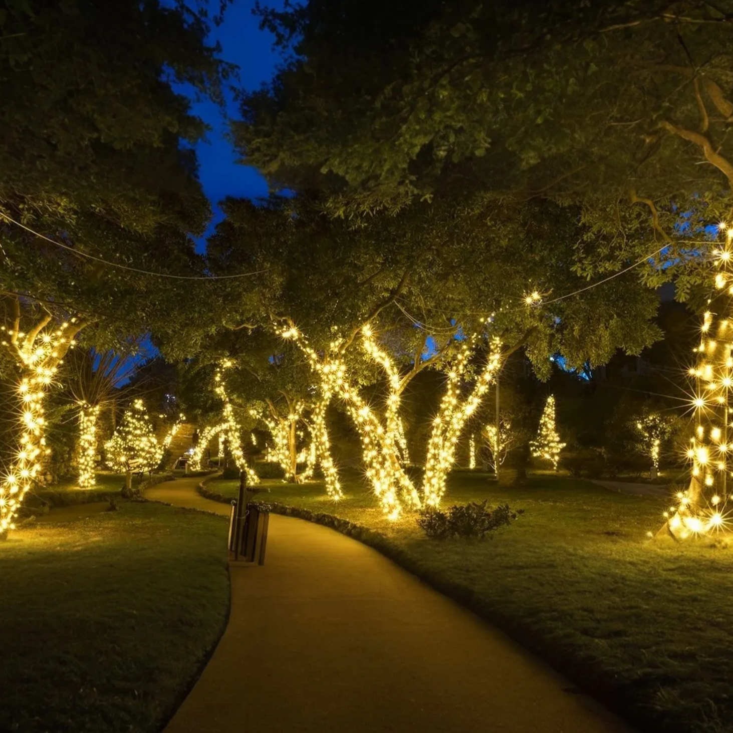 LumiTwinkle – Solar-Lichterkette, LED, Warmweiß, Garten & Terrasse