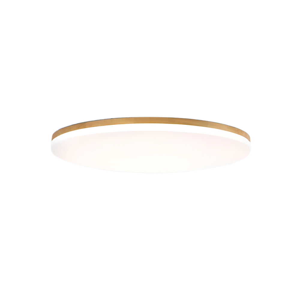 HoloGlow – Hochwertige LED-Deckenleuchte für stilvolle Beleuchtung