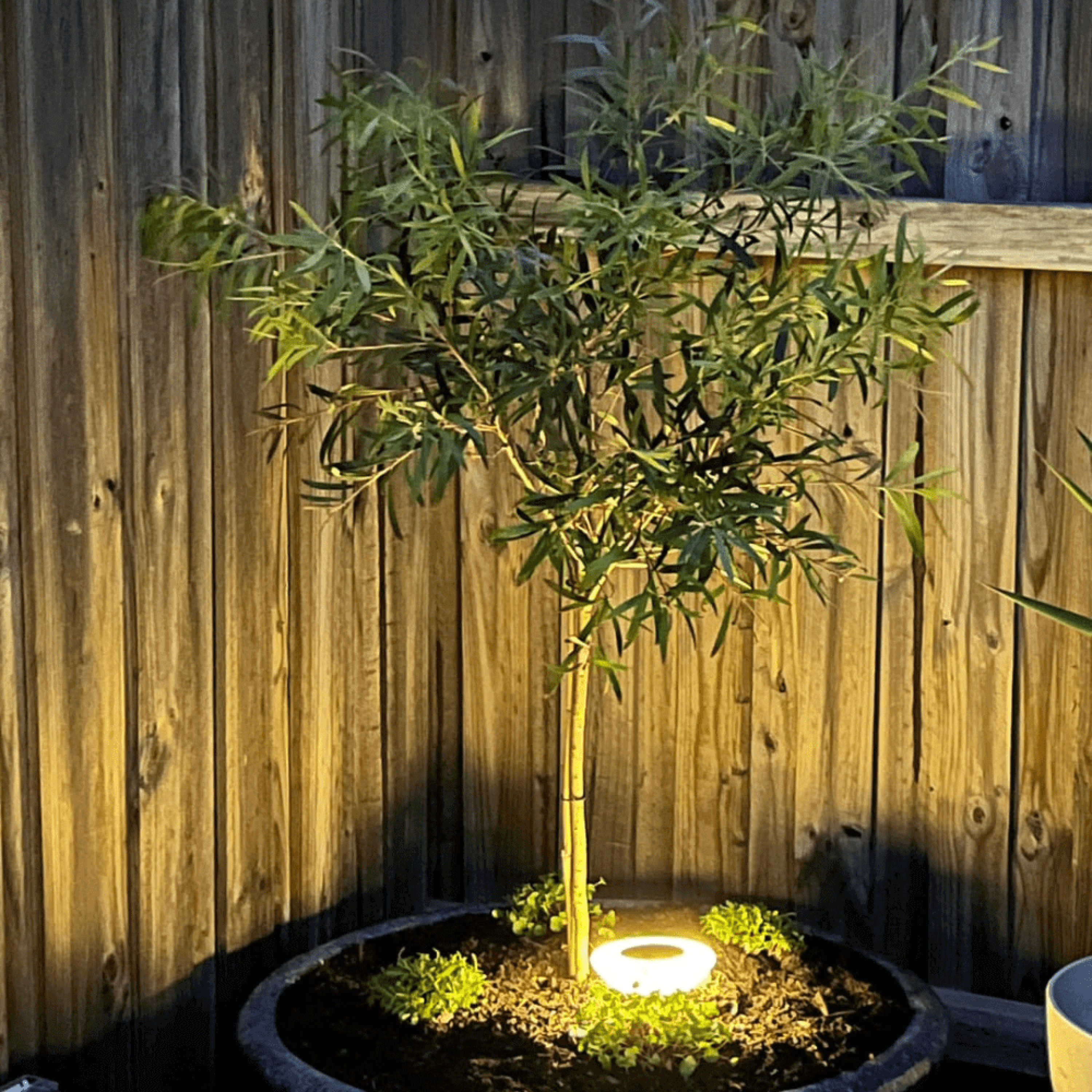 Raylio Solar Spotstrahler – LED, Schwarz, Für Einfahrt & Garten