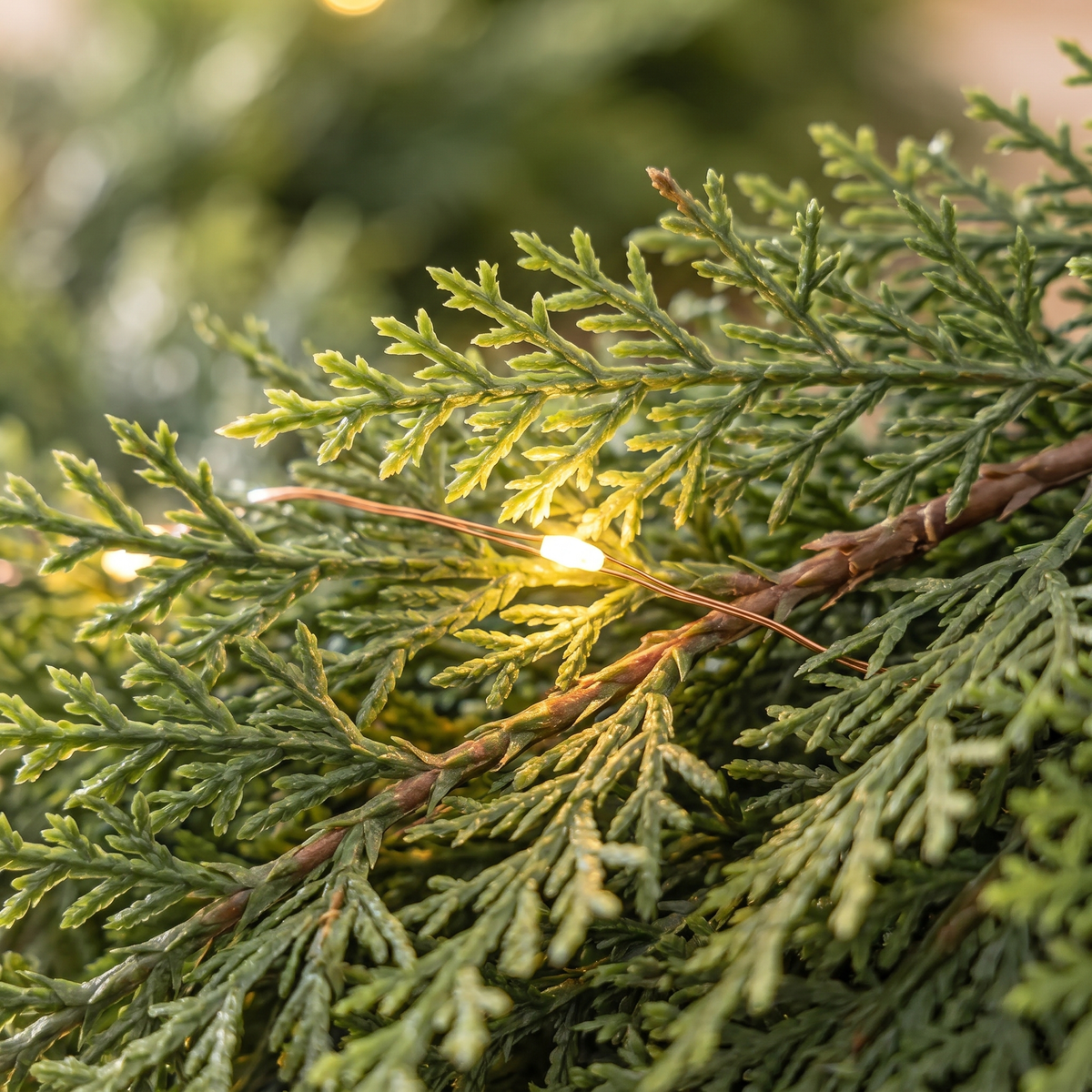Zedern Girlande mit Beleuchtung 2,7 m, täuschend echt mit LED und Fernbedienung